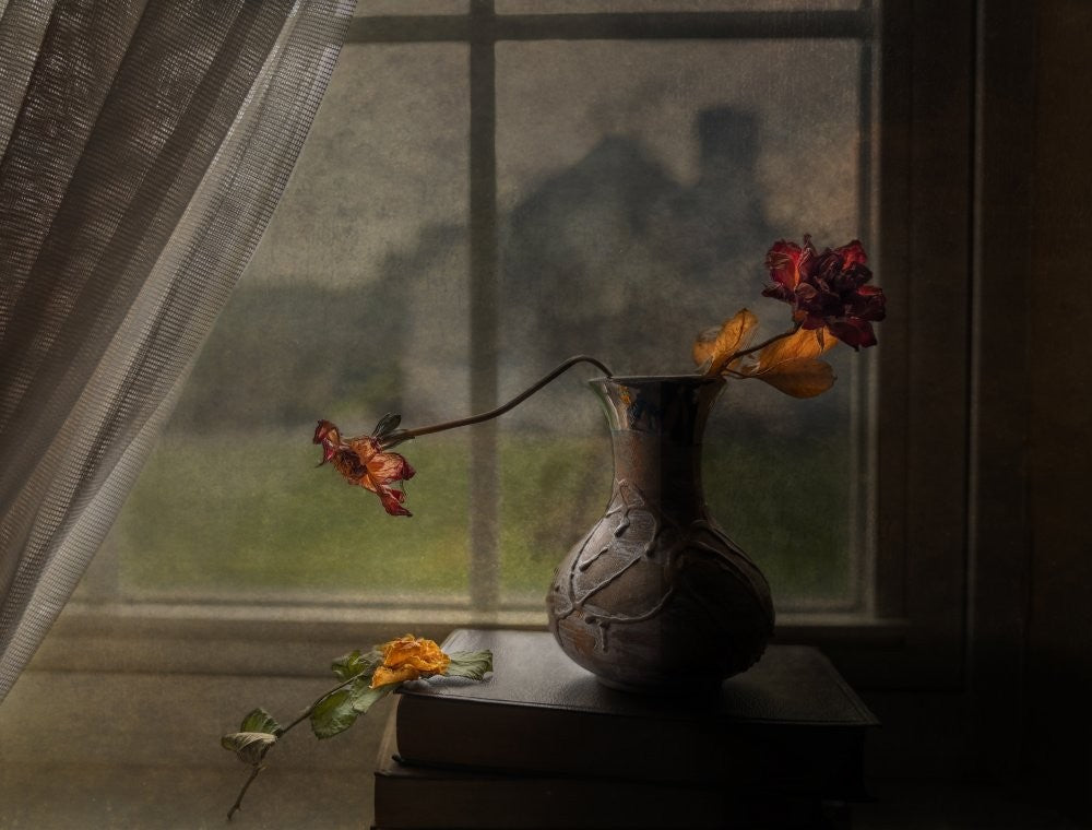 Flowers fading at dusk