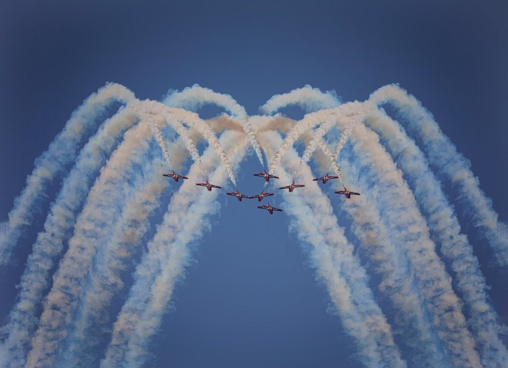 Snowbirds in my mind