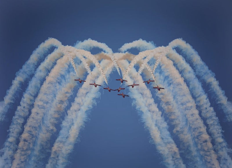 Snowbirds in my mind