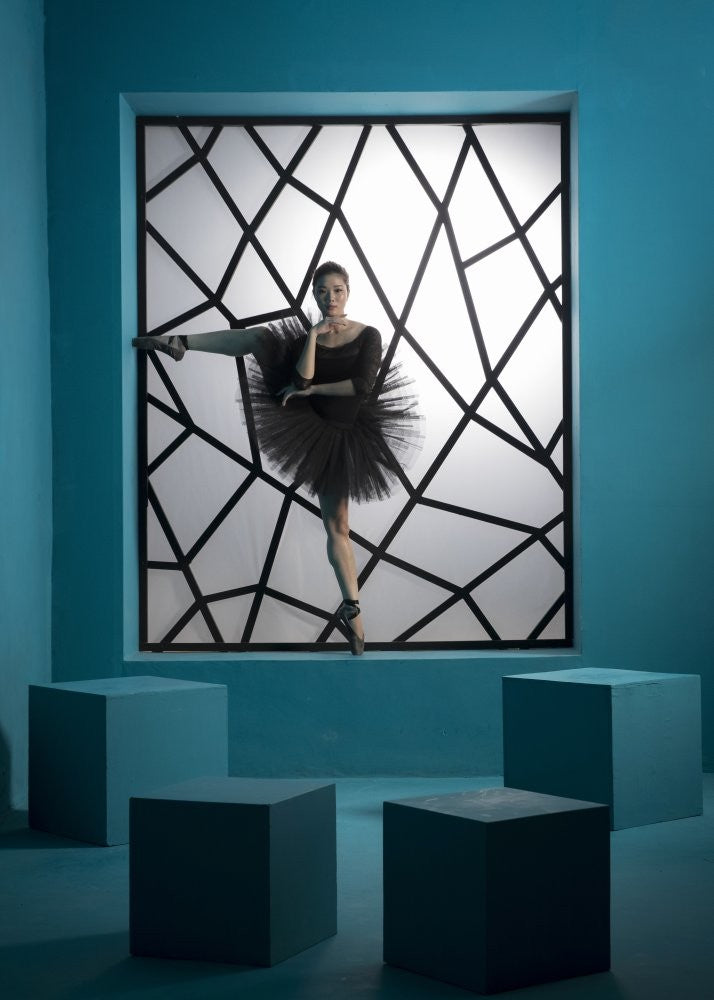 Balerina  in The Frame
