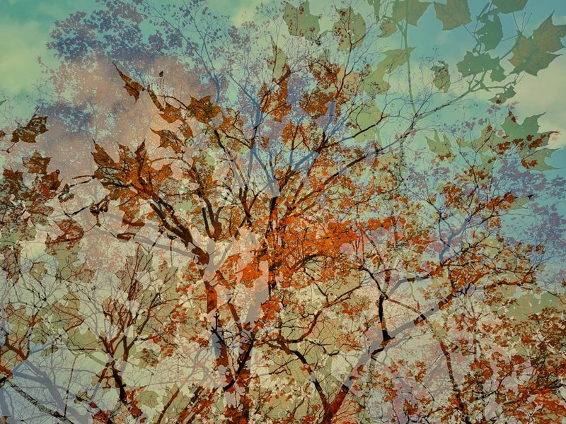 Musical Autumn