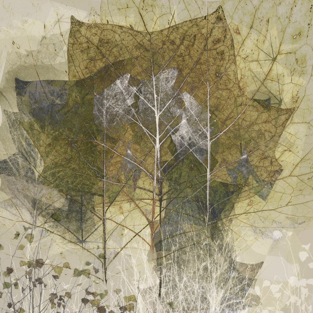 Transient