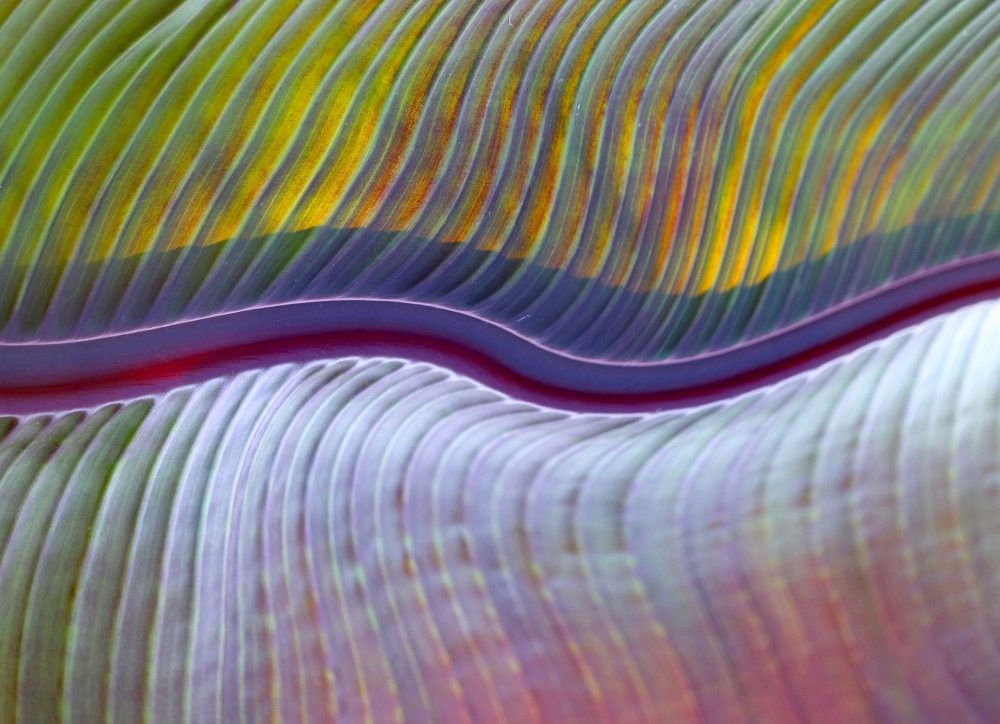 The flood plains, abstractly