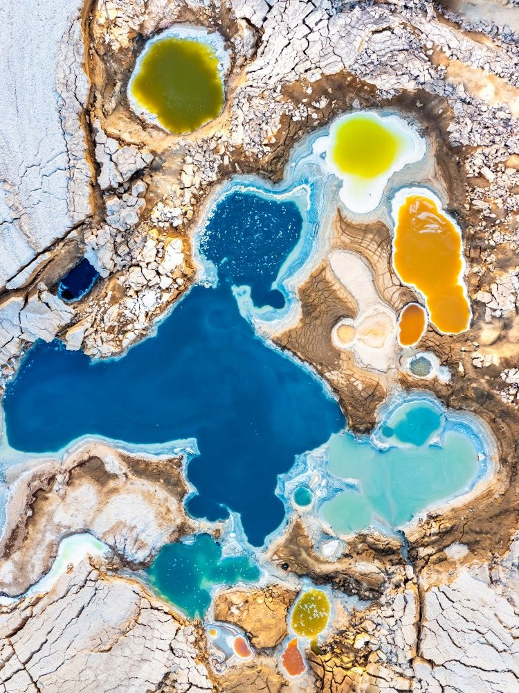 Nature's color palette