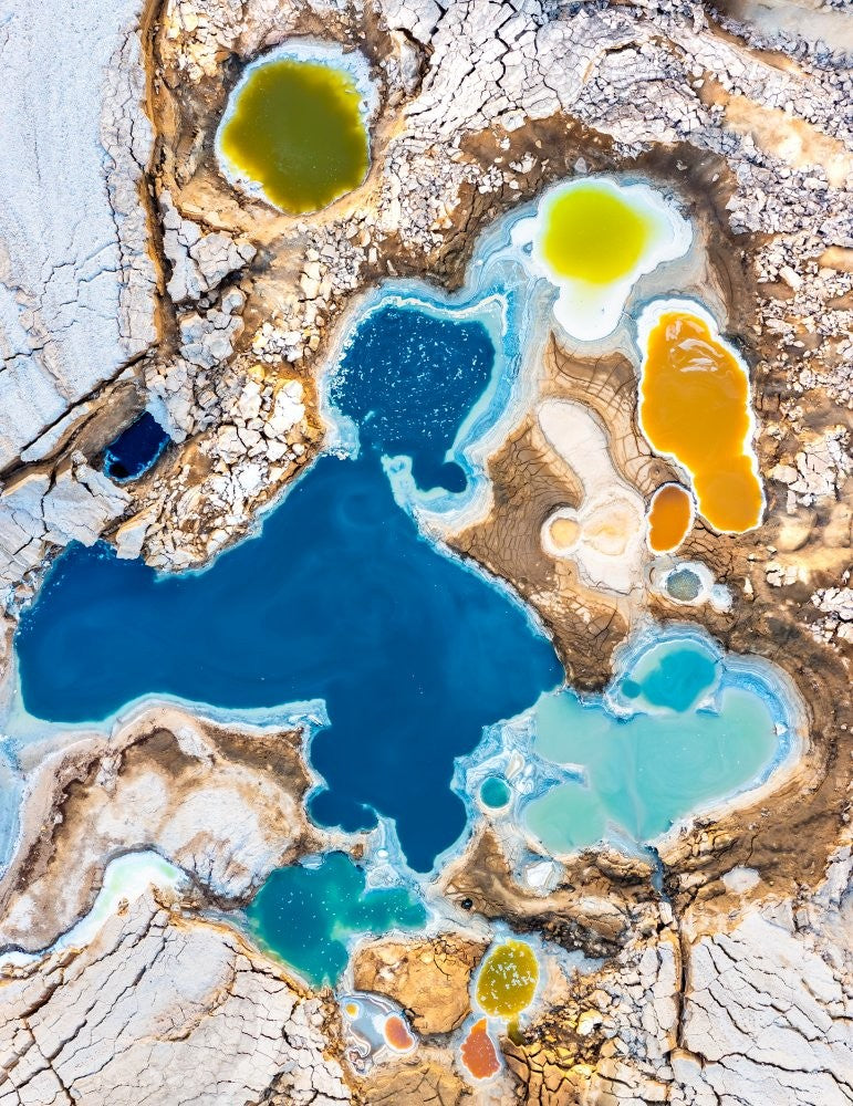 Nature's color palette