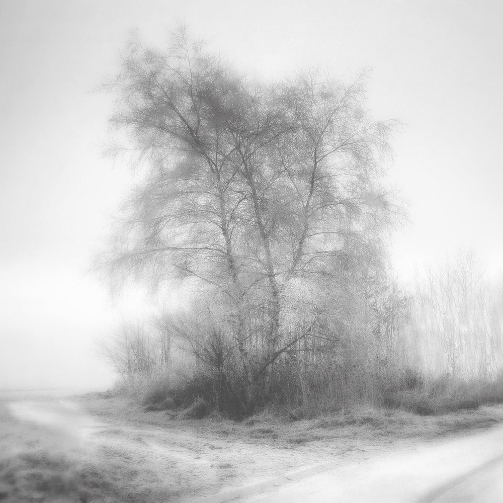 Deep peace of the winter