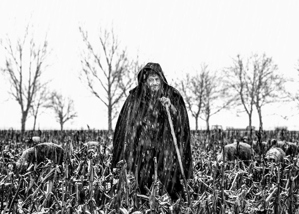 The shepherd from Romania