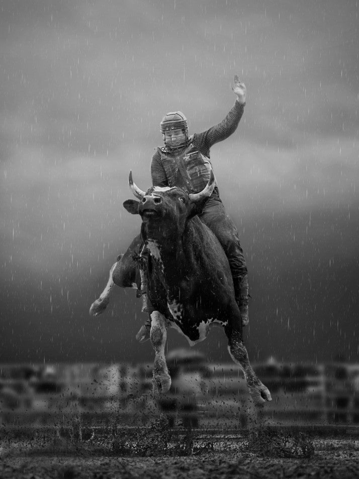 Bull Riding  Ontario #2