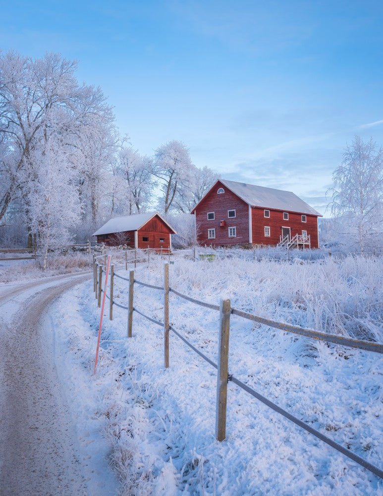 Scandinavian architecture