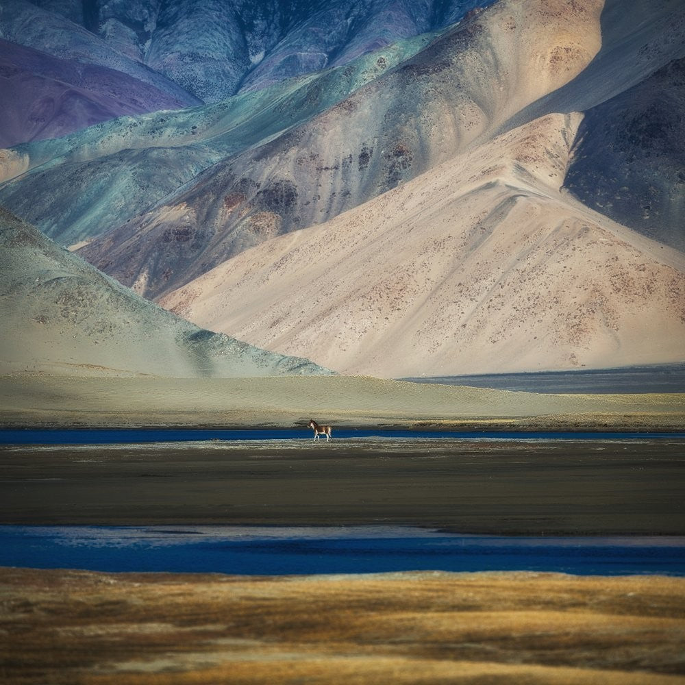 alone in a beautiful world