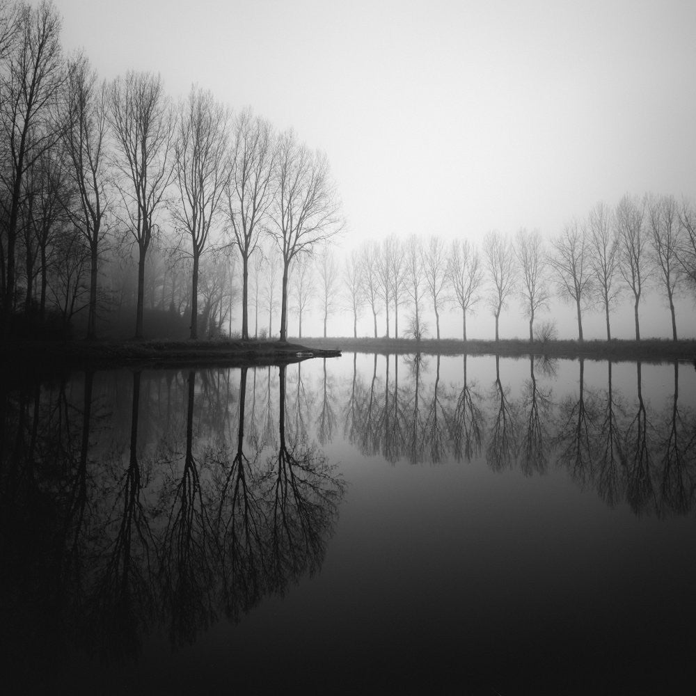 In dreams