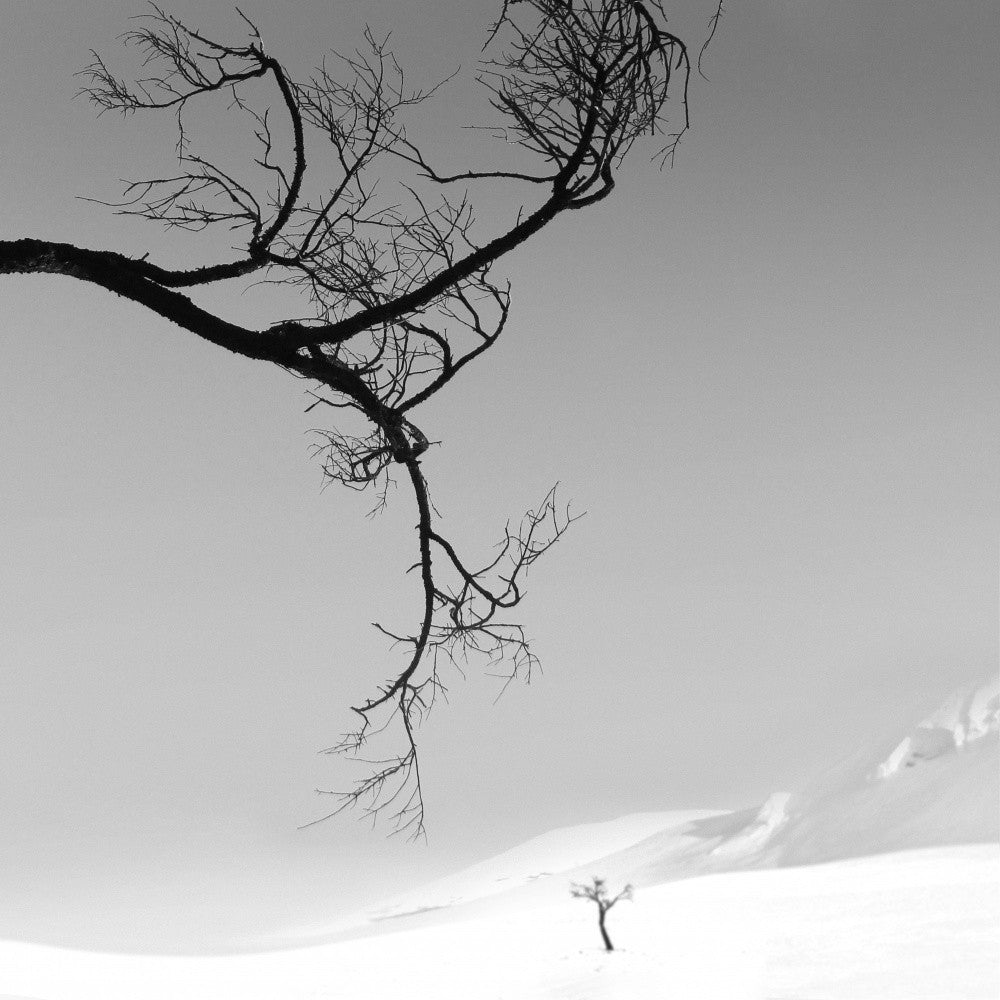 Winter Landscape