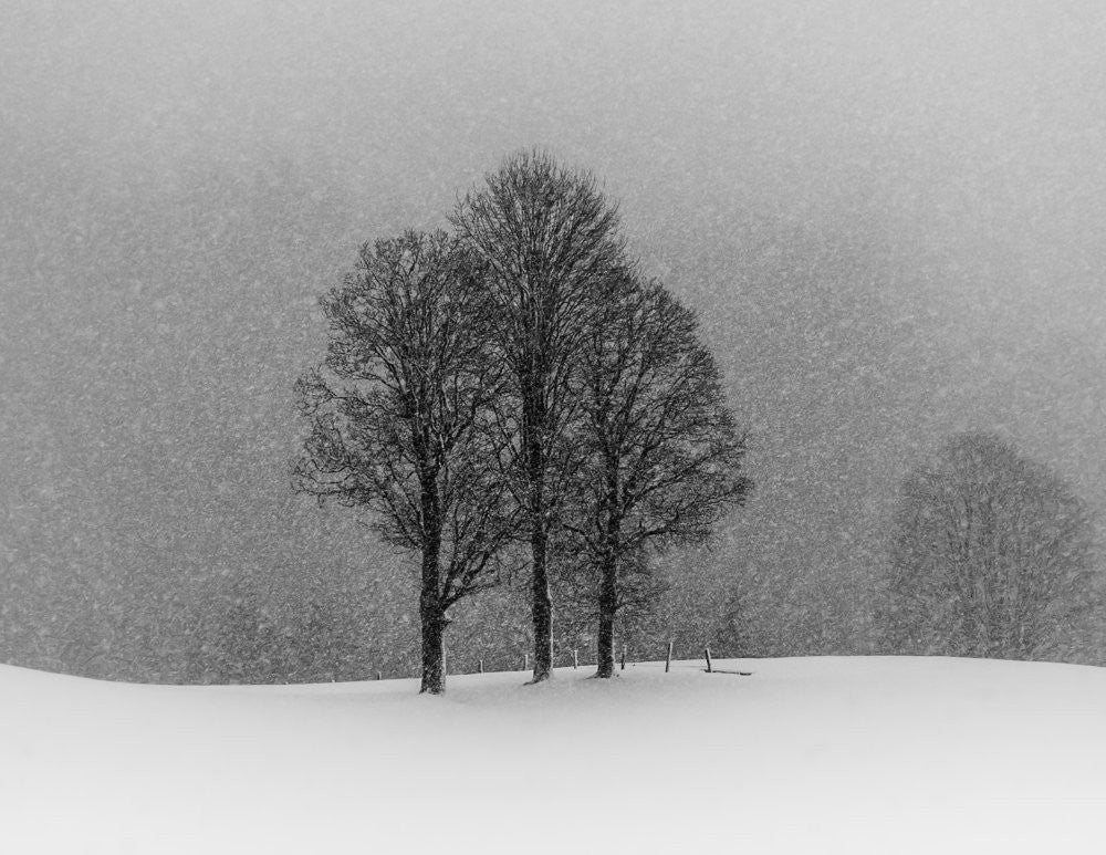 let it snow