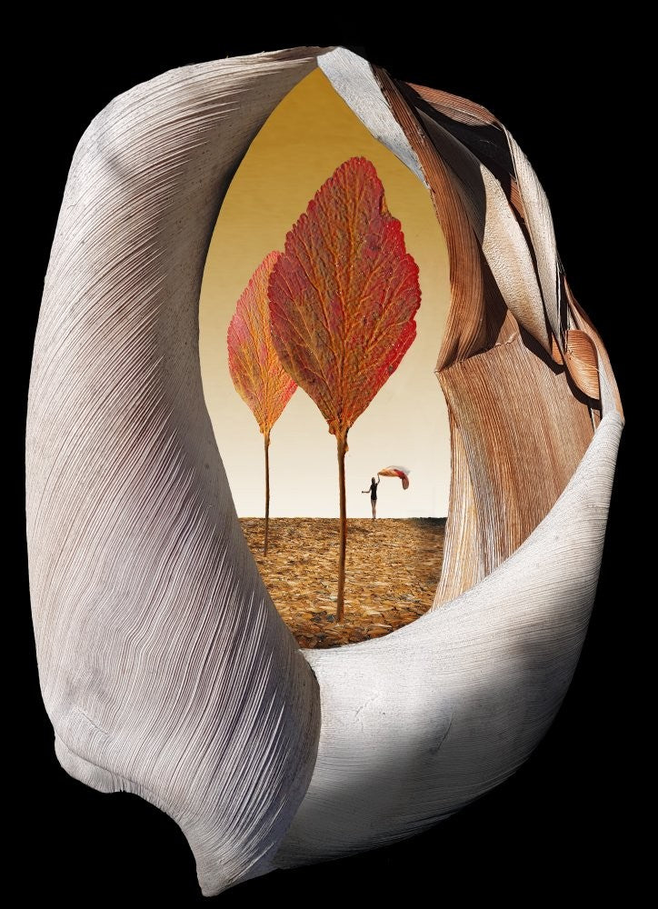 Autumn Trees