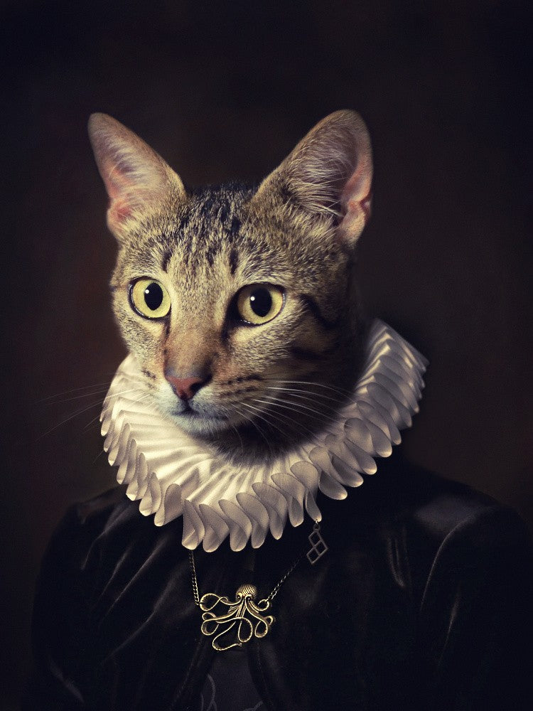 Sir Kiko