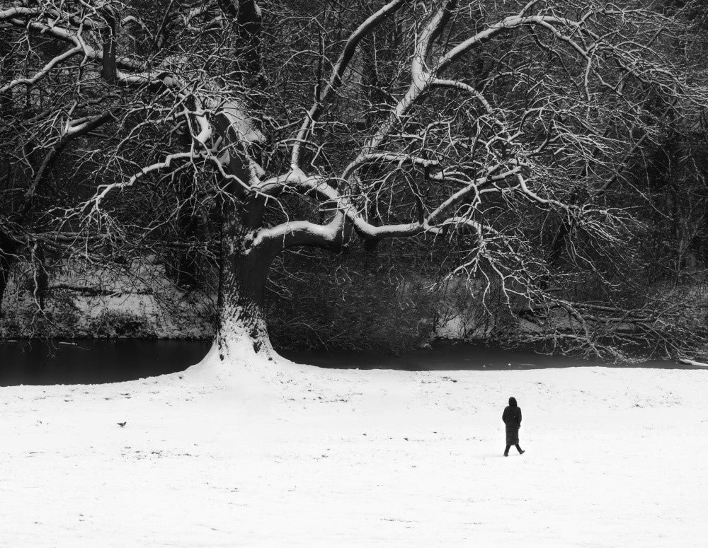 Walk in black and white.