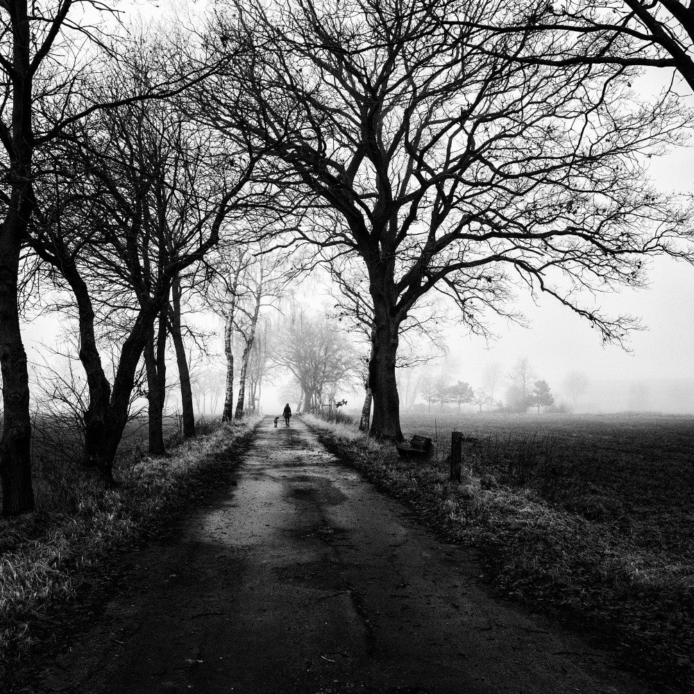 Lonely way back home