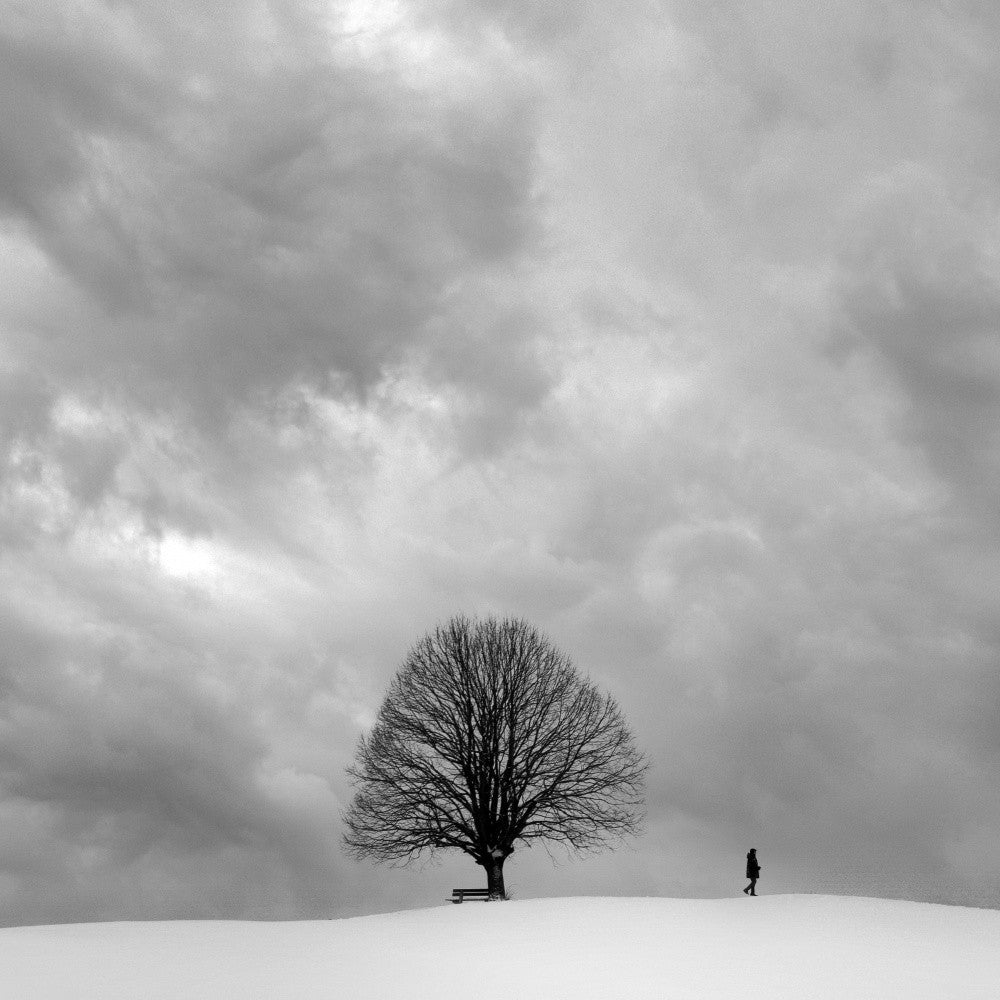winter walk