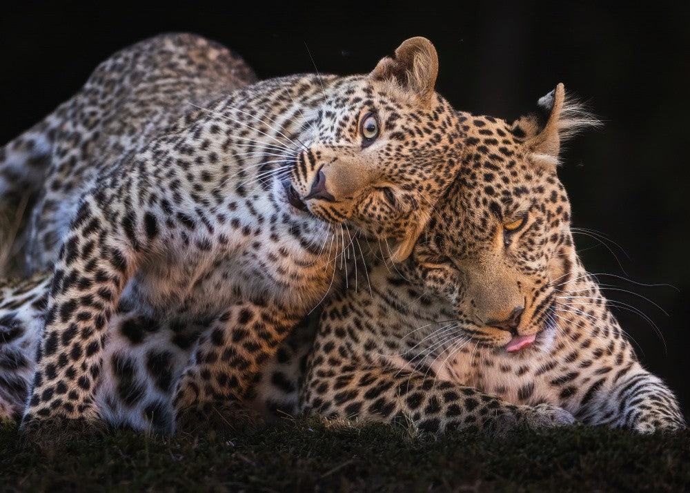 Bothering Mom