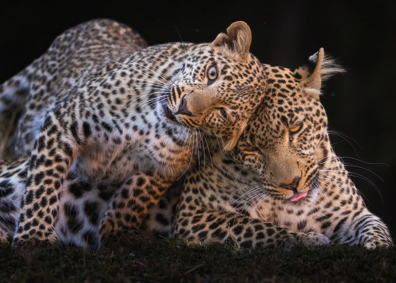 Bothering Mom