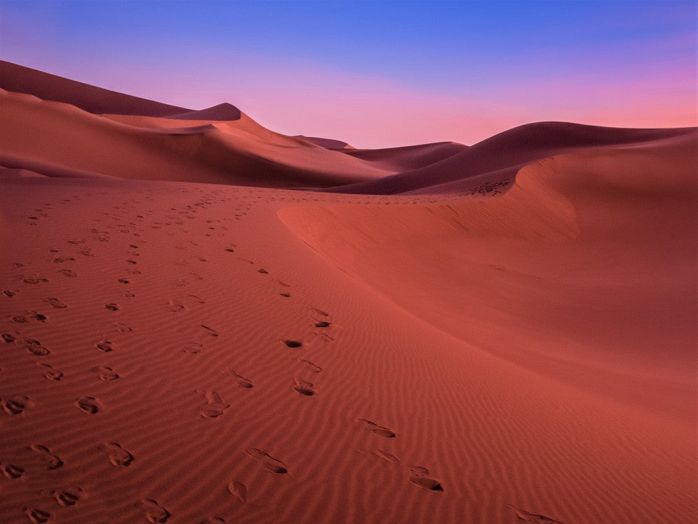 The colors of the desert at sunset