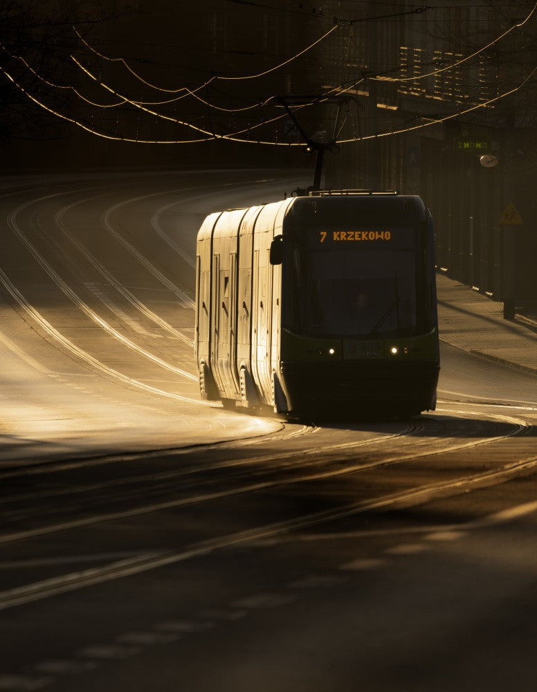 Golden urban morning