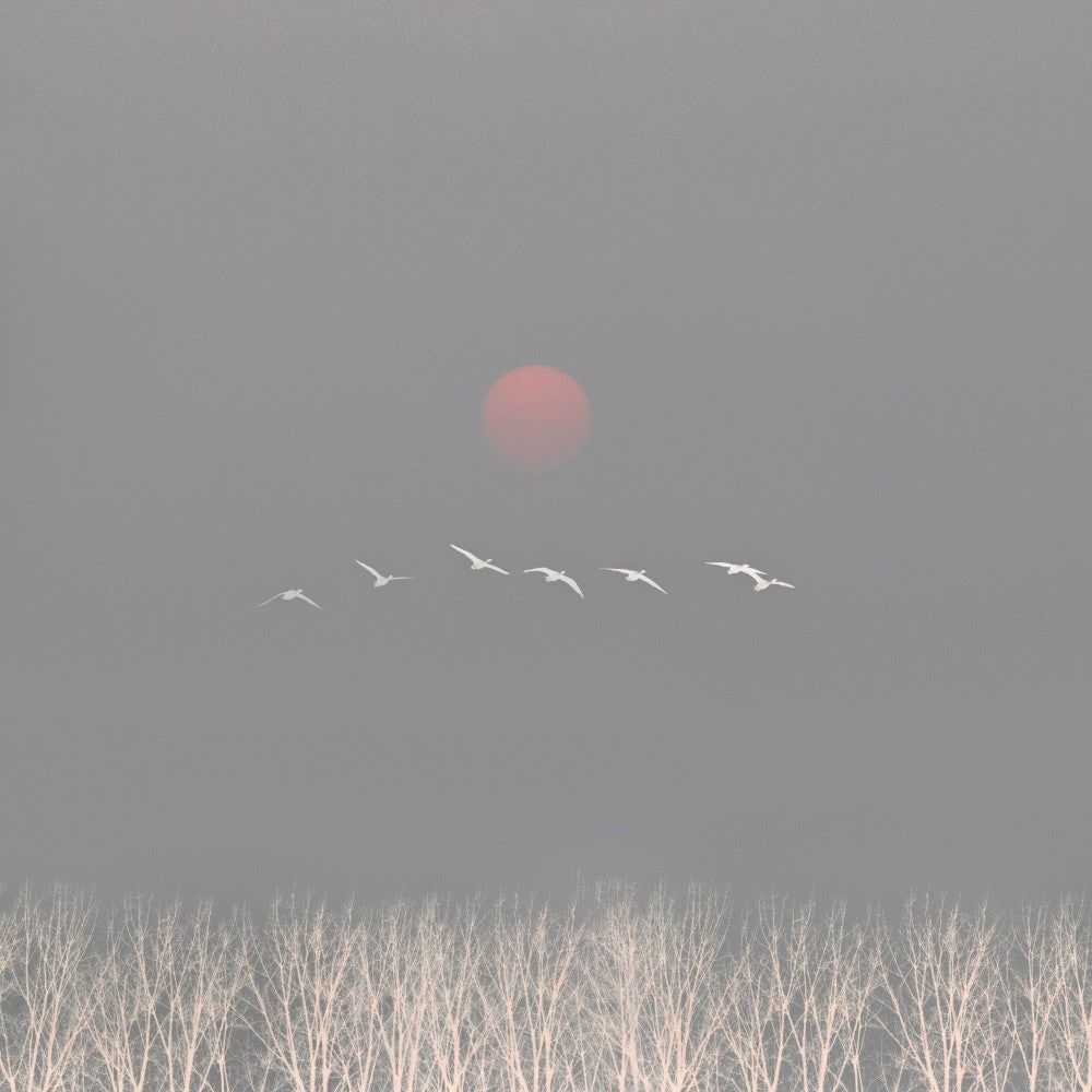 Il y a des dieux dans le ciel