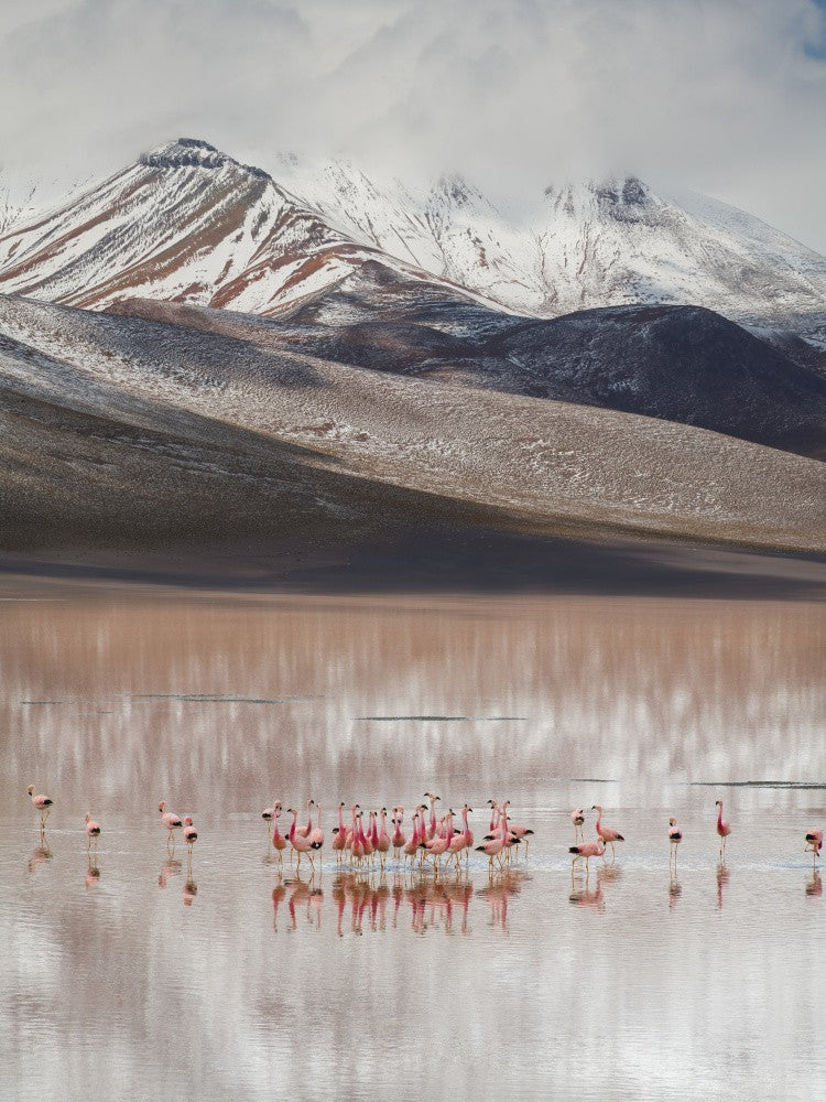 mountain view (Bolivia)