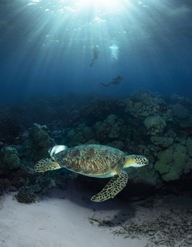Maldives
