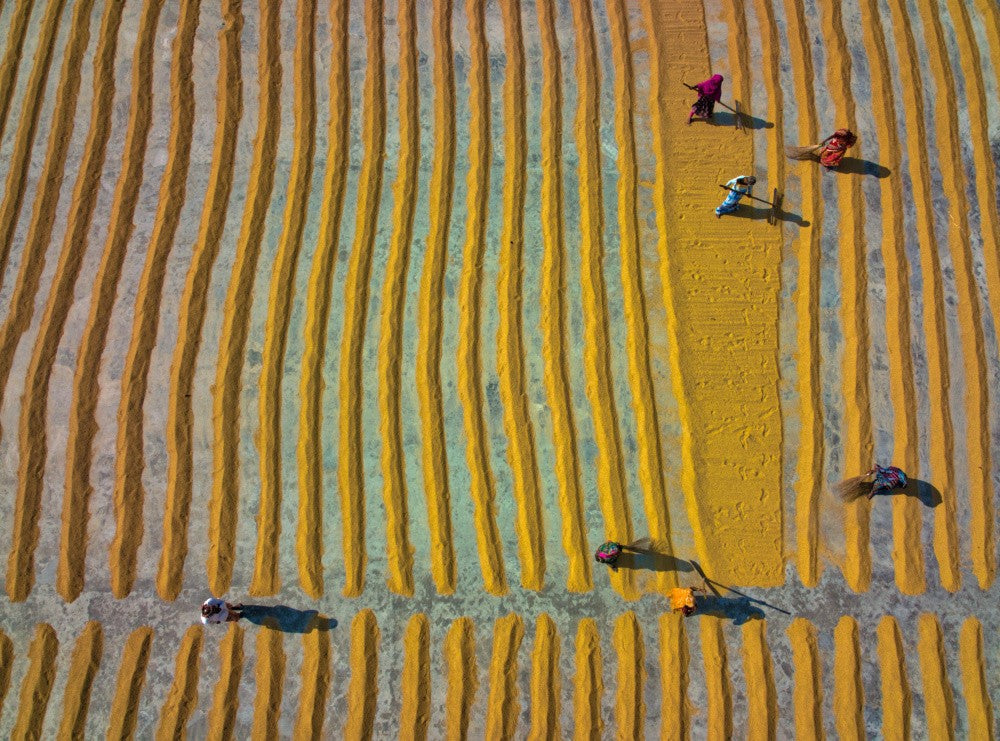 Work in progress in a rice mill