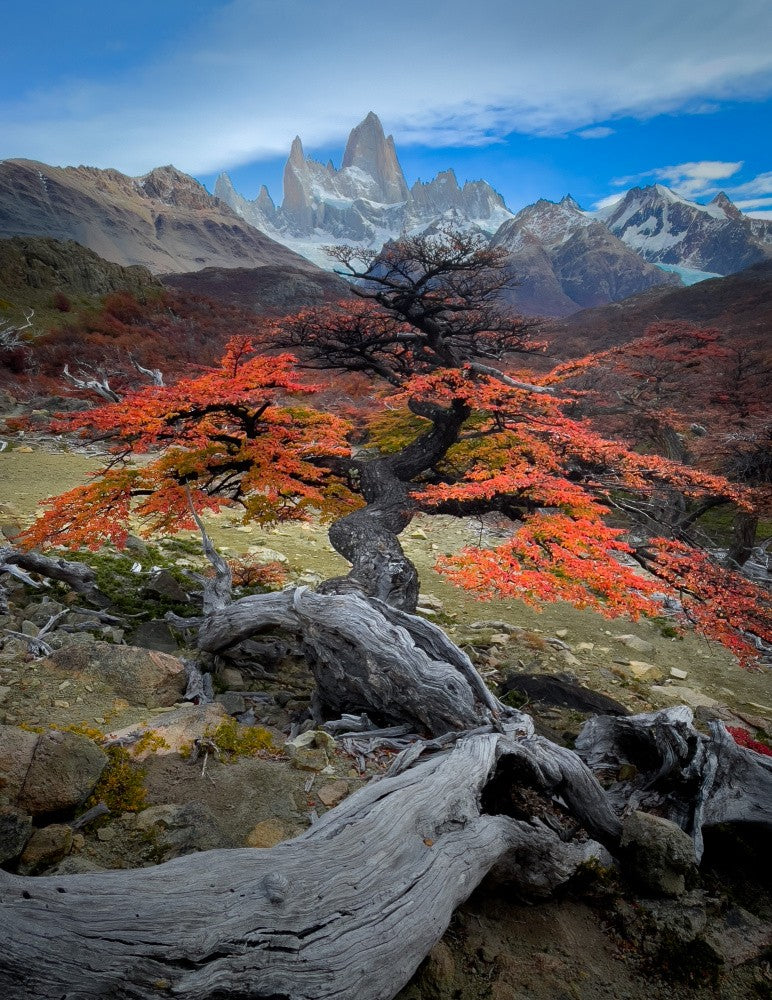 Autum in Fitz Roy