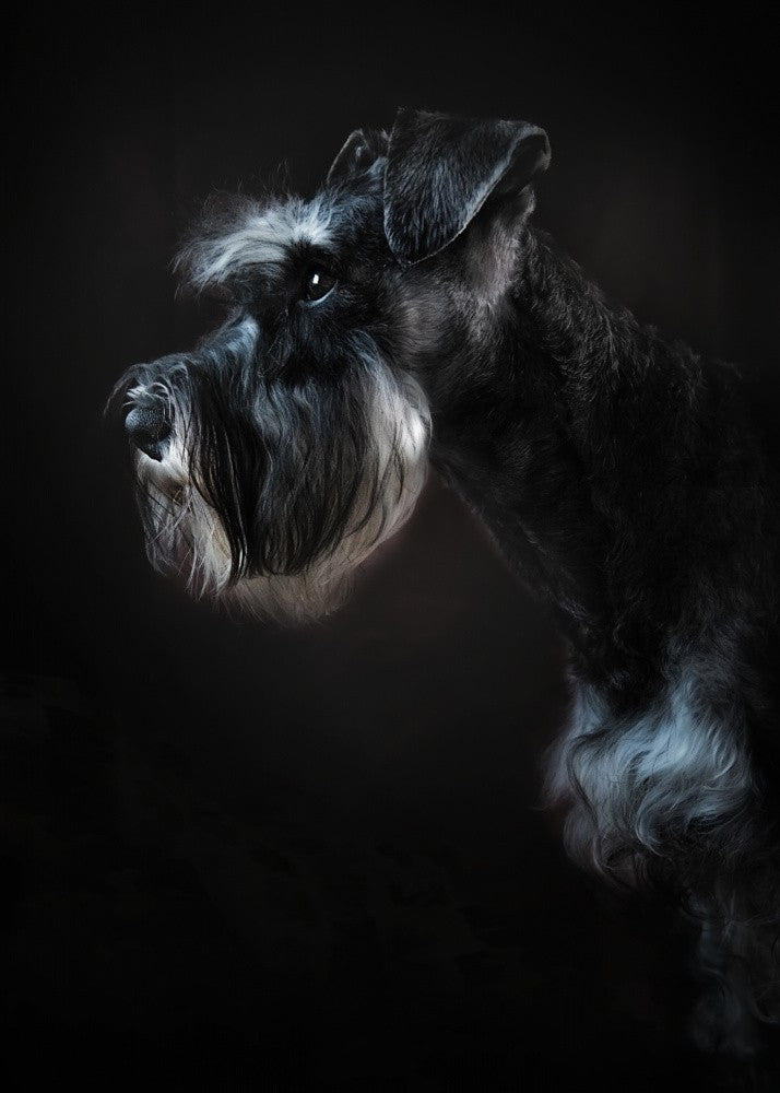 Rick portrait