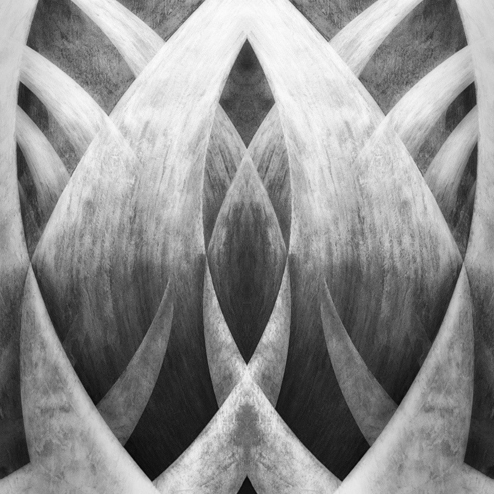 Venice abstract