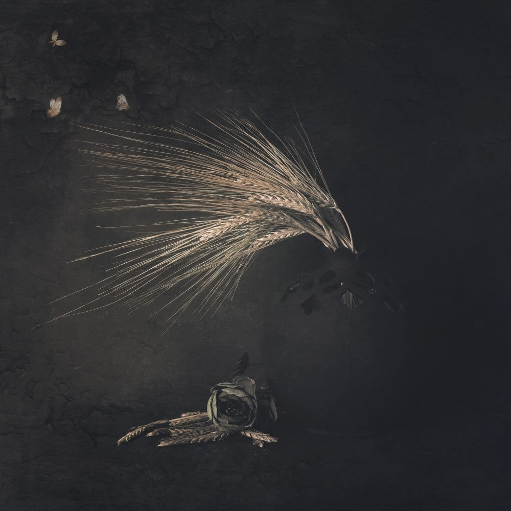 Remains of Light