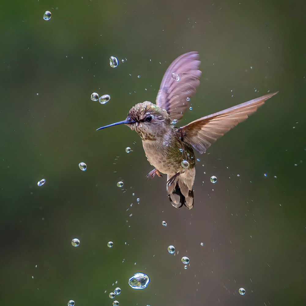 Durch Wassertropfen