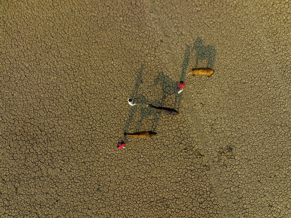 Drought land