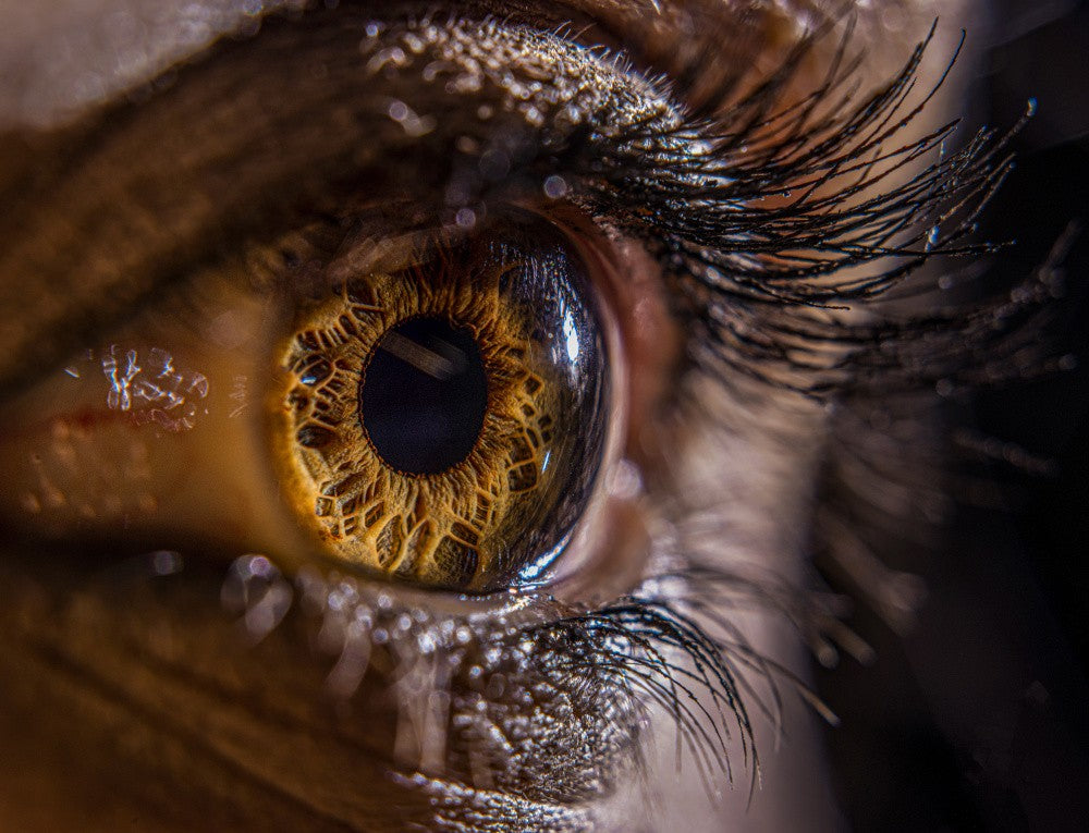 The eye