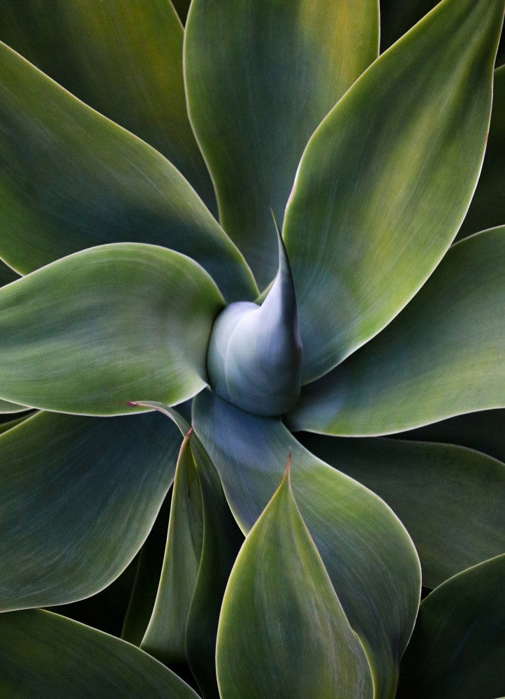 A little bit like a pinwheel