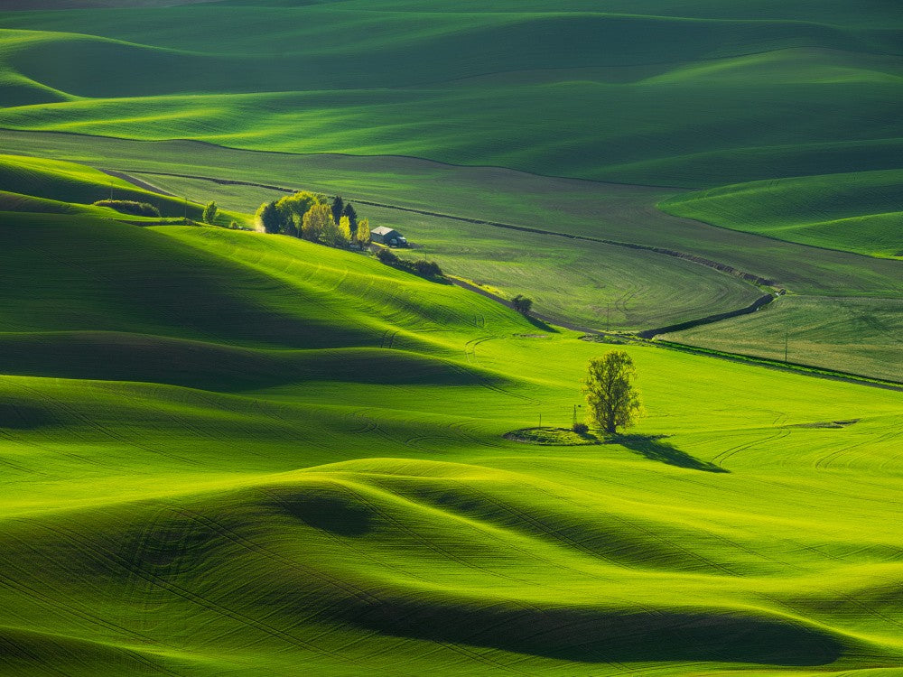 Good Morning, Palouse