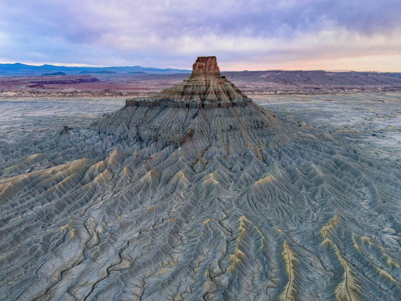 Wild Castle