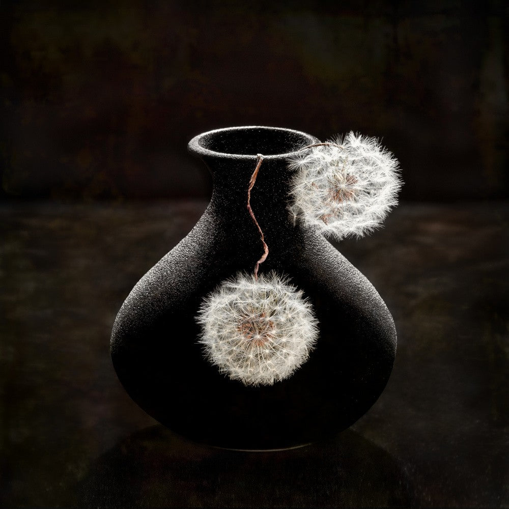 Plush Balls