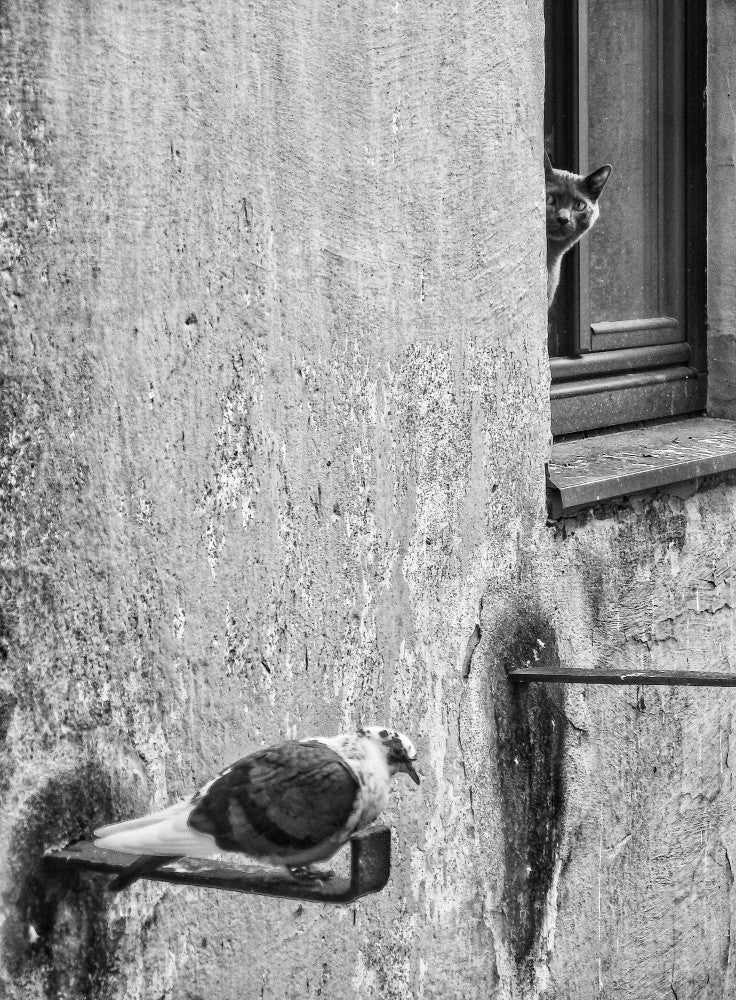 mission impossible
