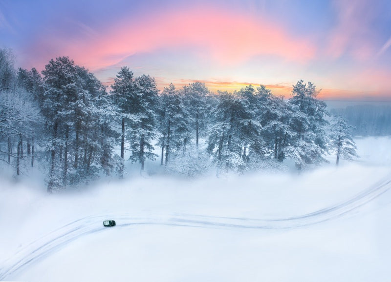 Winter Morning Glow