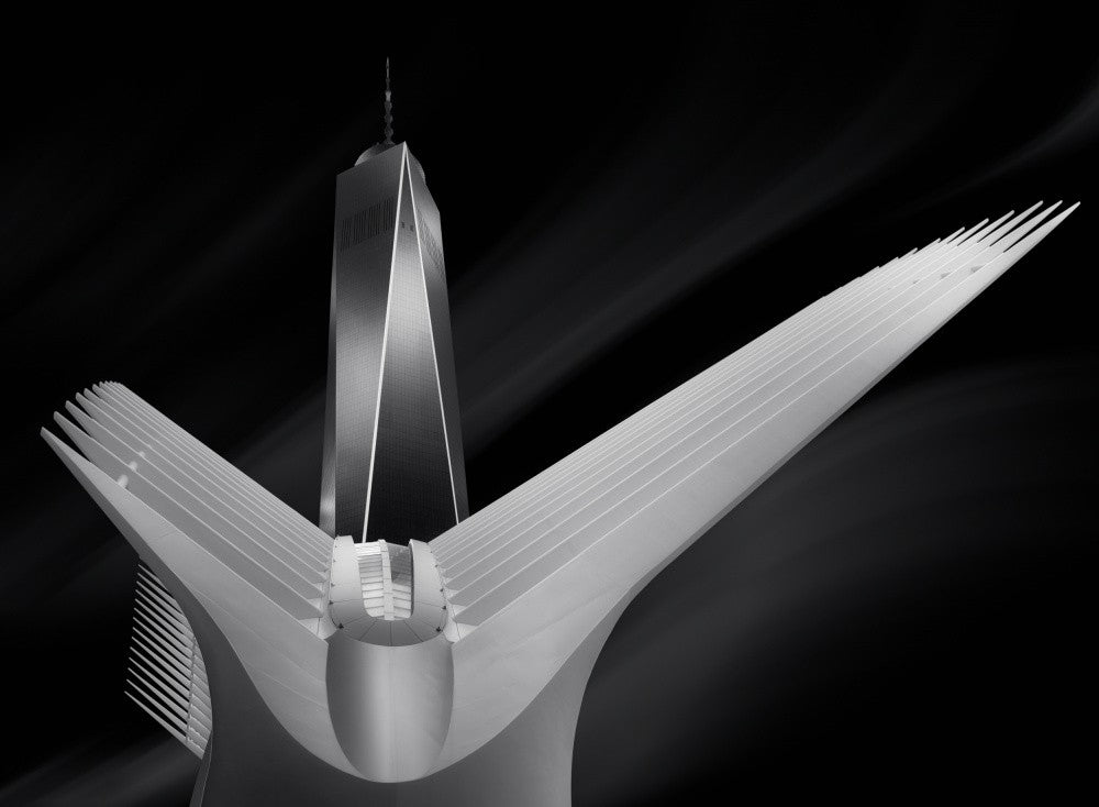  flying in oculus