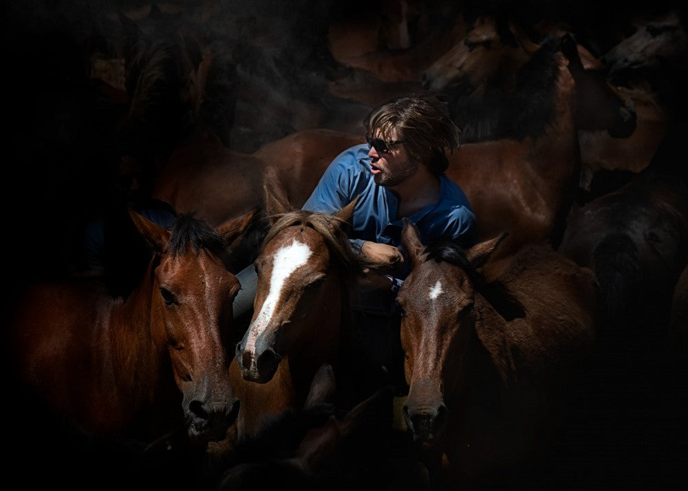 Aloitadores IV (A rapa das bestas)