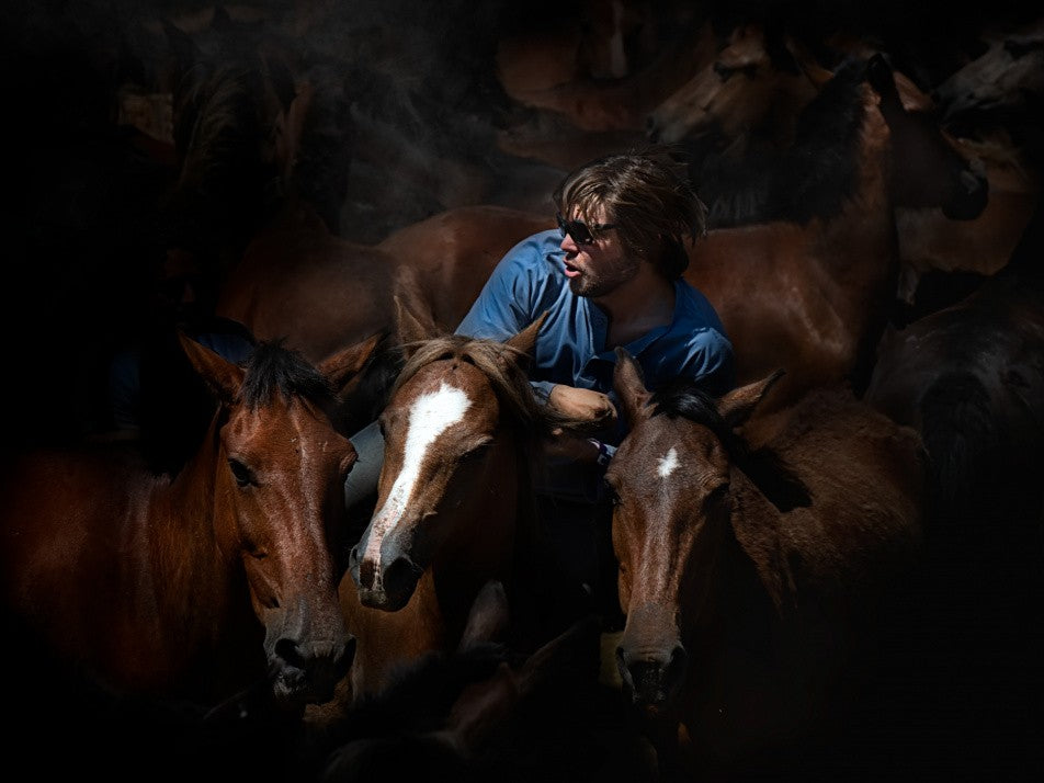 Aloitadores IV (A rapa das bestas)