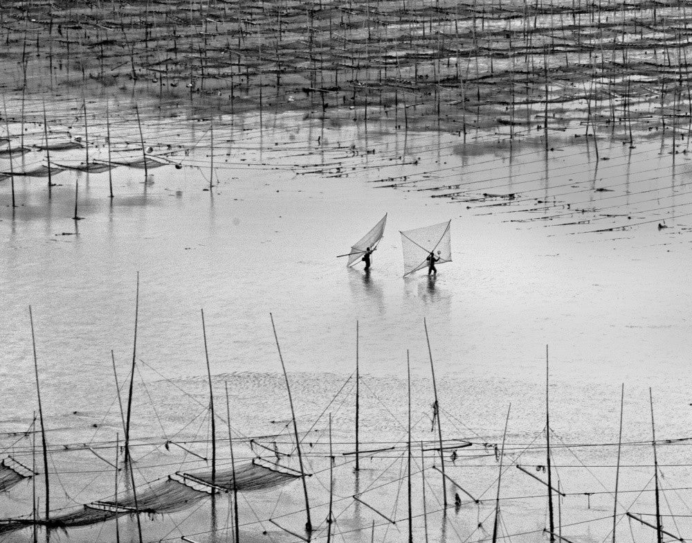 Catching Small Shrimp 2