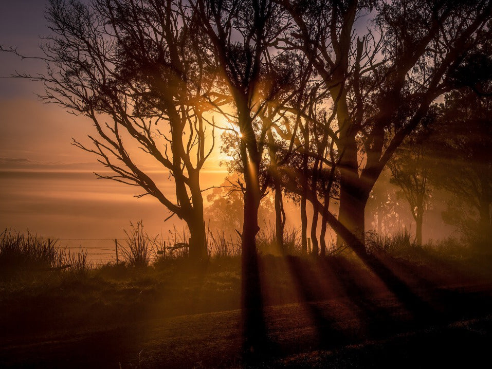 Sunrise over Morning Mist