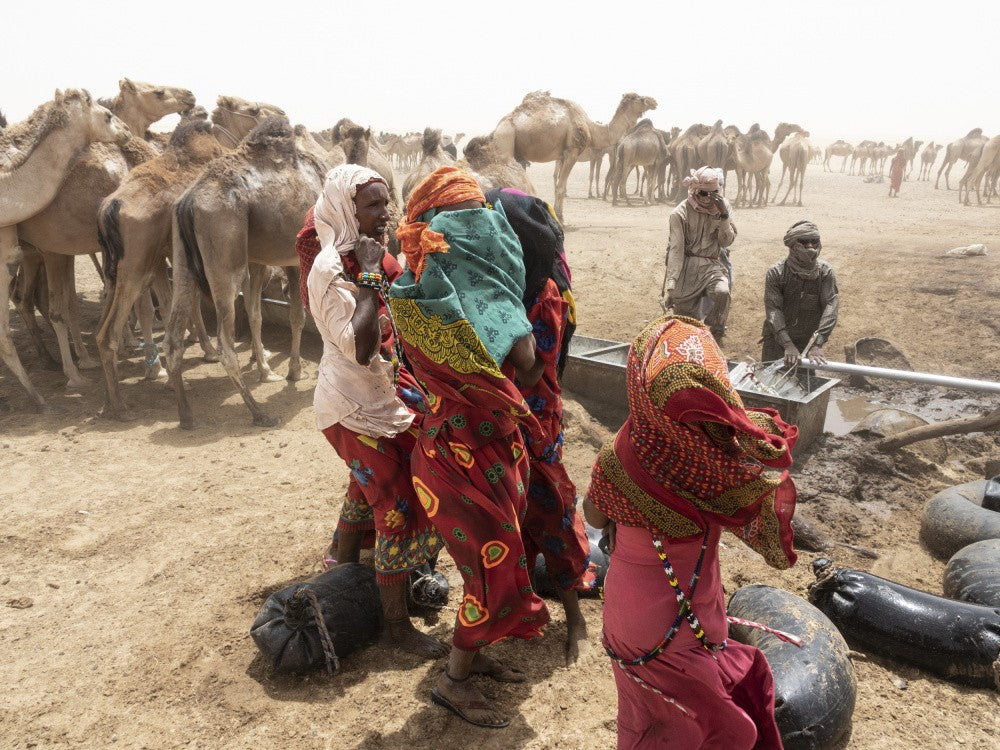 so much activity around the well at Borkou desert, Tchad