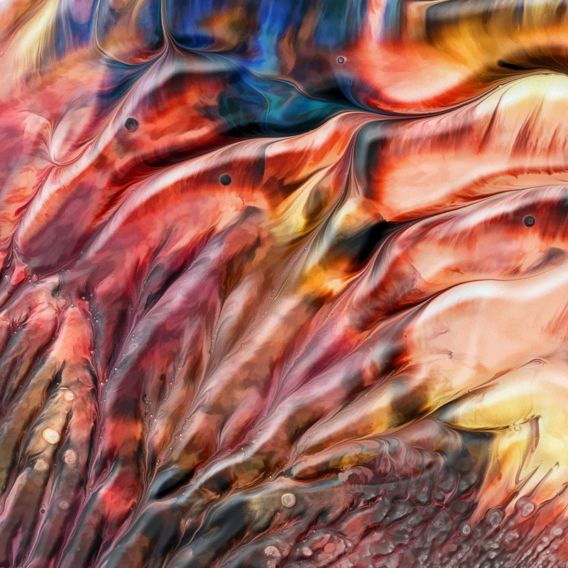 Flamingos